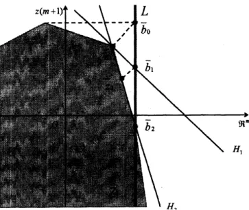 図 2: LPB-Newton 法の反復の様子 ゾノトープへの射影のために，藤重らは Wolfe のアルゴリズム [4] を採用してい る．このアルゴリズムは，有限個の点の集合 $P=\{p_{1}, \ldots, p_{N}\}$ が与えられたとき に，$P$ の凸包上の点で，原点との距離が最小のものを求める ( 図 3)