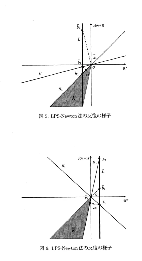 図 5: LPS-Newton 法の反復の様子