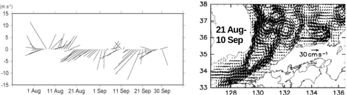 図 3  2011 年 8 月から 9 月の北緯 34.4 度、東経 128.5 度における日平均海上風ベクトル（左）、  および 2011 年 8 月下旬から 9 月上旬の表層流速ベクトル（右）  図 5  韓国沿岸での赤潮発生状況をもとにした粒子初期投入 位置（左）、および 2003、2005、2007 年の対馬海峡における 南西風時系列と流動場の異なる 3 ケースでの粒子投入位置 ごとの山陰沿岸―隠岐諸島への到達粒子数（下）  ※黄色部分は韓国沿岸で C