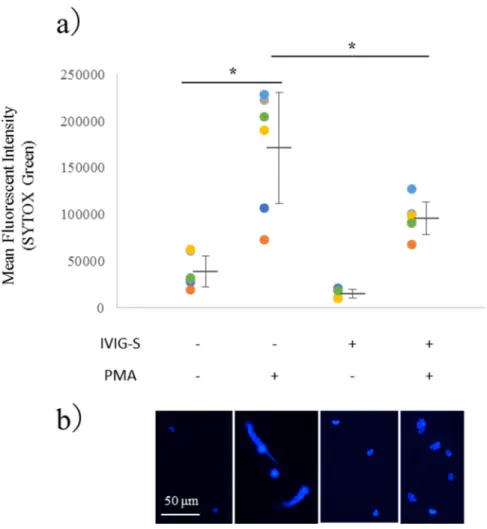 図 3. IVIG-S による PMA 誘導 NETs 形成の阻害 