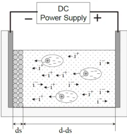 Figure 1.13 Schematic of electrophoresis and deposition of the particles and ions in the suspension [46].