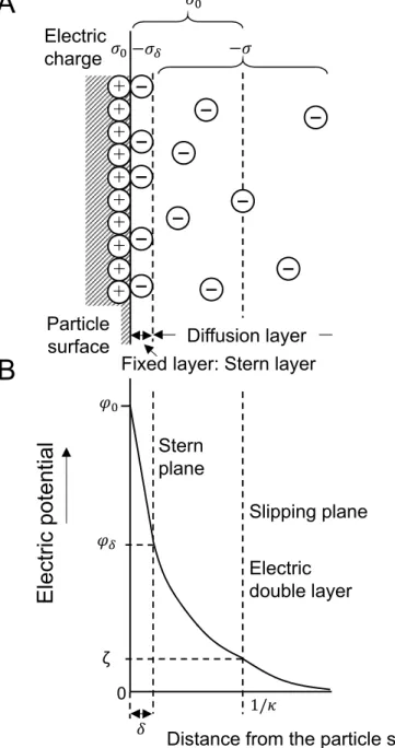 Figure 1.14 Structure of the electric double layer (A) and the electric potential curve (B).