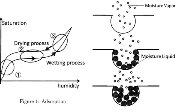 Figure 1: Adsorption