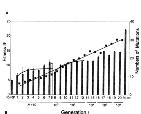 図 4: バクテリオファージの大腸菌への感染能の進化．20 世代に渡る親配列 ( $=$ 歩行者) の適応度の増 加の様子を棒グラフで表した。 世代を経るにつれてサンプルサイズ $N$ を 10 から $10^{6}$ まで段階的に増や していった。 一方、 $\blacksquare$ は出発配列 ( $RP$ 3-42) から蓄積されていった同義置換の数を示す。 2 つの指数関数 型の曲線は、 $N=10$ と $N=10^{3}$ のそれぞれの適応度の時系列に対して式 (15) を適合させた結果であ 