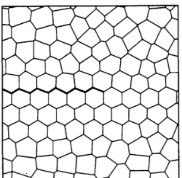 Figure 1: An adjacent blocks $D_{i}$ and $D_{ij}$ Figure 2: Close view of a crack tip