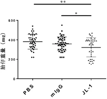 Figure 9. PBS 群、mIgG 群および JL-1 群における胎仔重量