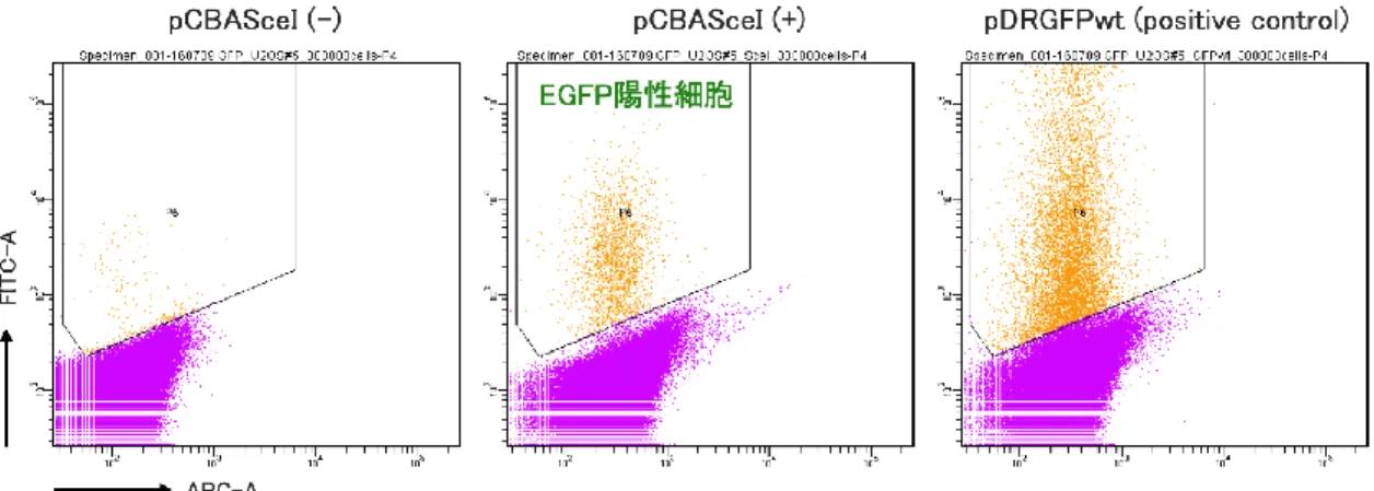 図 15. DR-GFP assay による pDRGFP_U2OS_#5 の評価 