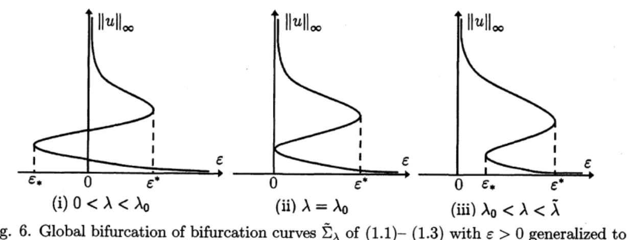 Fig. 6. Global bifurcation of bifurcation curves $\tilde{\Sigma}_{\lambda}$ of $(1.1)-(1.3)$ with $\epsilon>0$ generalized to