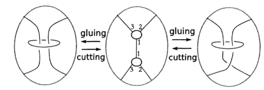 FIGURE 1. Volume preserving moves on hyperbolic graphs with parabolic meridians