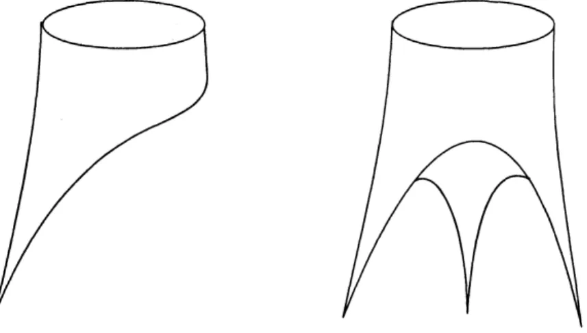Figure 2: $A$ pair of crowns.