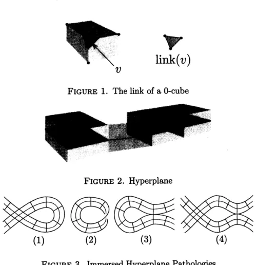 FIGURE 1. The link of a $0$ -cube