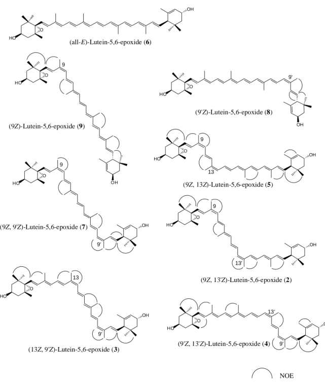 Figure 1-6.    Structures of eight geometrical isomers of lutein-5,6-epoxide identified in this  study