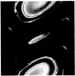 図 4 標準写像の相図 ( 左 ) と，クラスタリングの結果 (右) クラスタごとに色分けされた画像をモノクロに変換しているため少し見辛いが， KAM トーラスやその内部の層構造と，カオスの海が分離できている事がわかる． 次の例は， 2 次元の非圧縮流れに適用したものである．考えるのは図 5 に示されるよう に，上下を壁に挟まれた領域における円柱周りの流れである．計算には格子ボルツマン法 [7] を用いた．流れの方向は右から左であり，円柱の後流に双子渦や，さらに下流におい ては壁との相互作用で生じる渦も観察