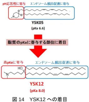 図 14 YSK12 への着目