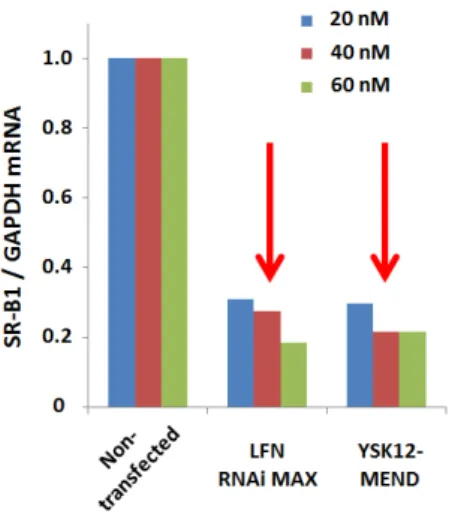 図 16   YSK12-MEND による siRNA 導入効率の評価