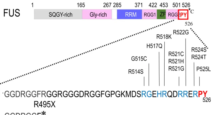 Figure  4 FUS 内のALS関連遺伝子変異箇所