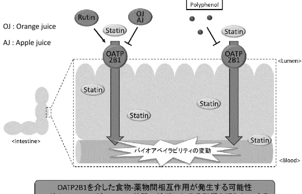 Fig. 2 Purpose of this study 