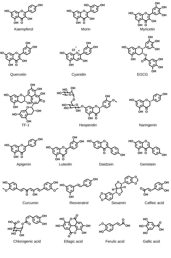 Fig. 3 Structures of polyphenol 