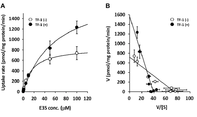 Fig. 7  Concentration-dependent uptake of E3S by OATP2B1 in the absence or presence  of TF-1