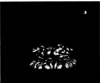 Fig. 3 Numerical simulation result of pyroclastic flow and $co$ -ignimbrite ash clouds.