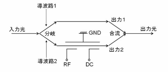 図 4-2 LN 変調器の構造 