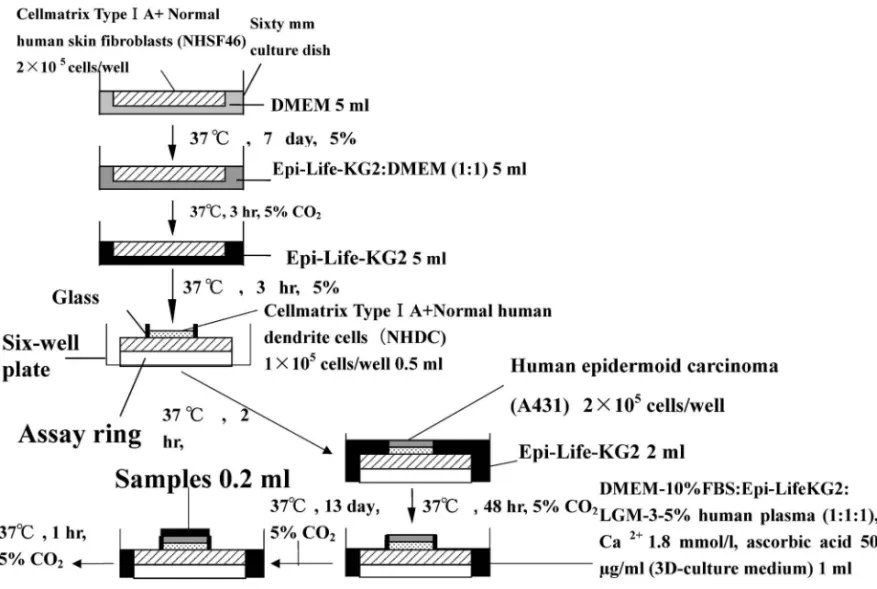Fig. 1. Construction of KDF-Skin