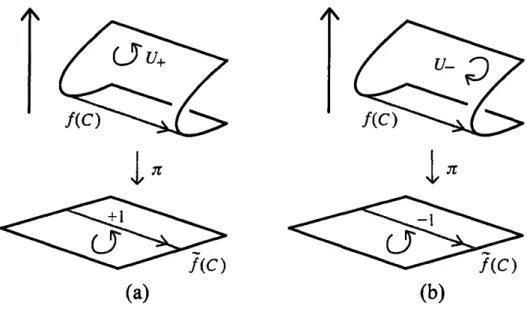 FIGURE 1. Immersion lifts if (a) $C$ is a positive fold, (b) $C$