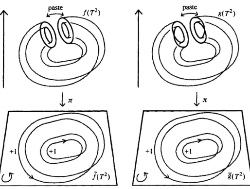 FIGURE 3. Two stable maps $f$ and $\tilde{g}$ : $T^{2}arrow \mathbb{R}^{2}$ which satisfy
