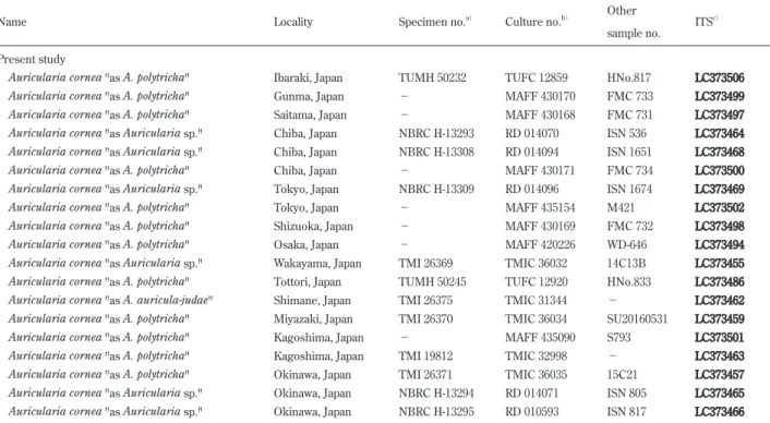 Table 2.　Specimen, culture, and sequence accession numbers of samples used in molecular phylogenetic analyses.