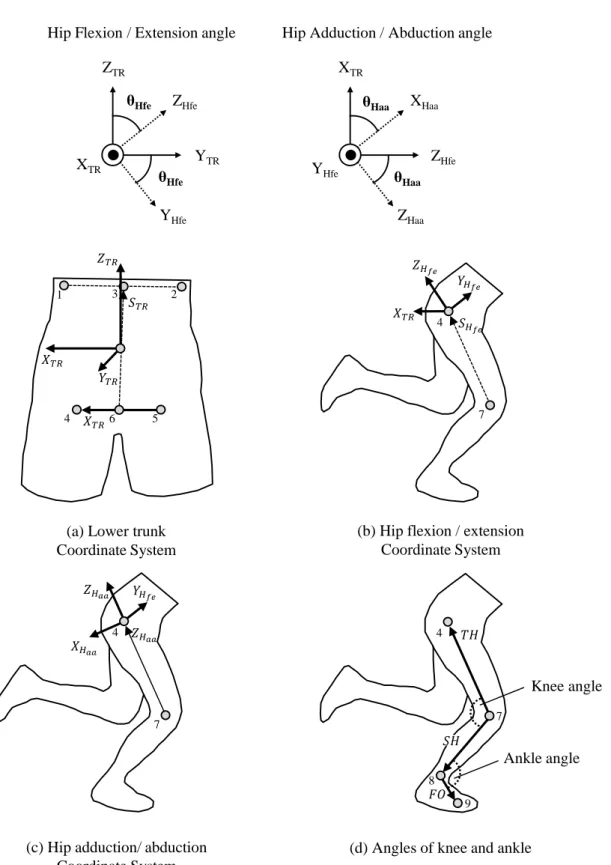 Figure 3-8 Definitions of coordinate system fixed at the lower trunk (a) and hip joint (b,c) to calculate the joint angle of hip