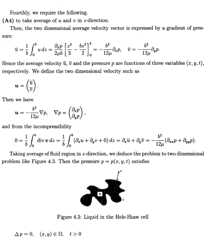 Figure 4.3: Liquid in the Hele-Shaw cell
