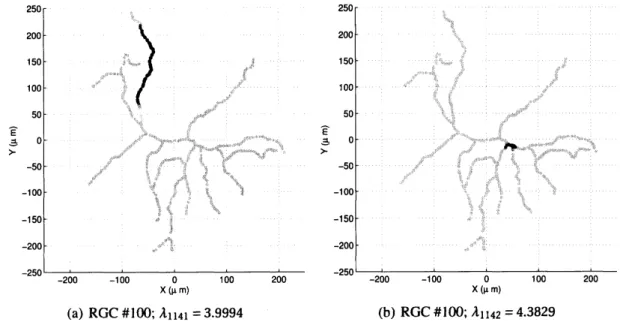 Figure 2: The graph Laplacian eigenfunctions of RGC #100. (a) The one corresponding to the eigenvalue $\lambda_{1141}=3.9994$ , immediately below the value 4; (b) the one corresponding to the eigenvalue $\lambda_{1142}=4.3829$ , immediately above the value