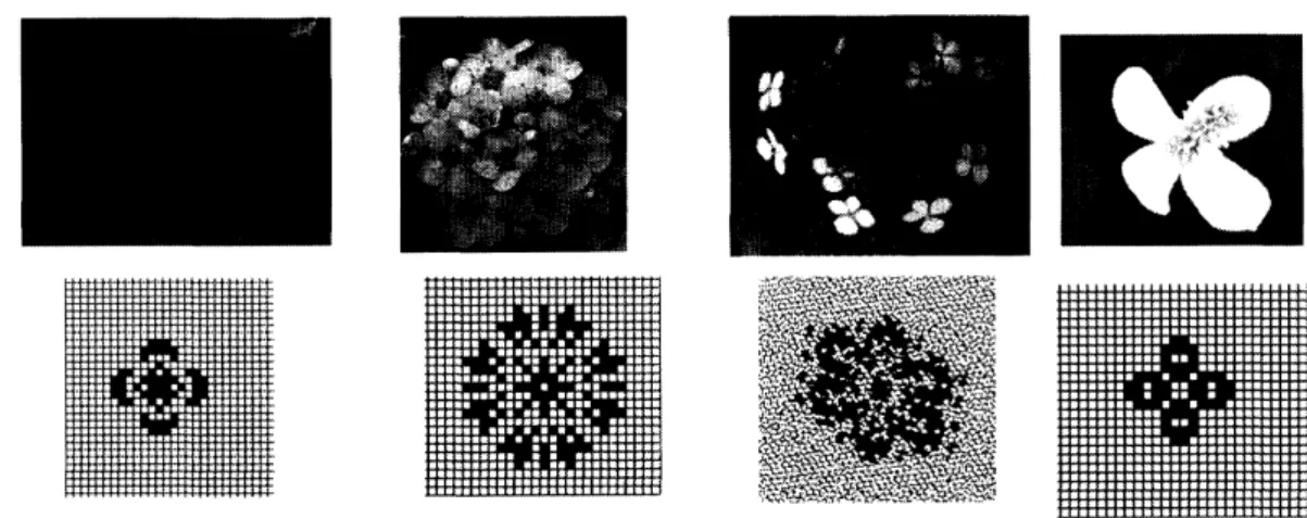 Figure 4. Generation of design pattems (4) Flower patterns.