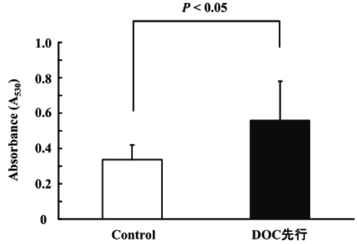 Fig. 3 Effect of DOC on ceruloplasmin oxidase activity  in heart tissue P< 0.05Control DOC先行00.20.40.60.81.0Absorbance (A530)P< 0.05ControlDOC先行00.20.40.60.81.0Absorbance (A530)