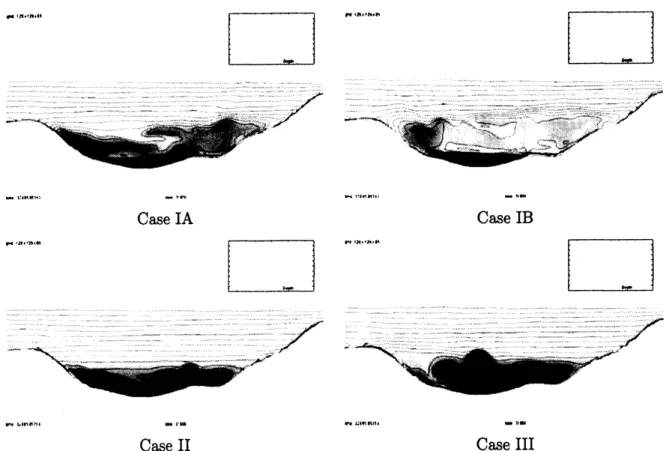 Fig. 6 Distributions of advection-diffusion substances $\beta$ in a vertical plane visualized by shading and contour lines.