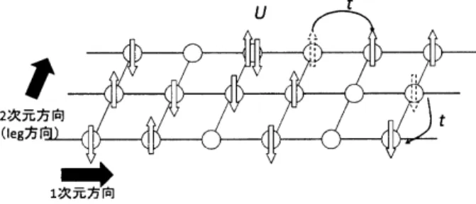図 5 ように DMRG 法を直接 2 次元方向に拡張する direct extension DMRG(dex-DMRG) 法がある [6, 7].