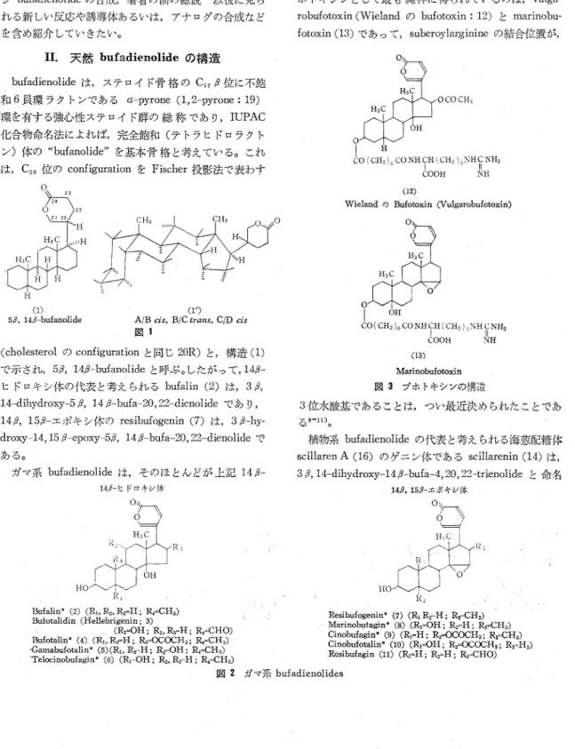 図  2  ガ マ 系bufadienolides