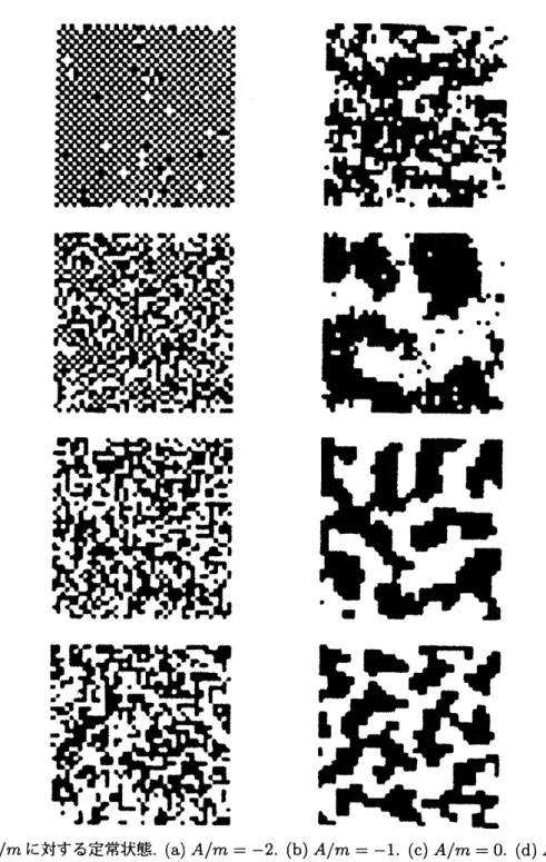 図 2: 各 $A/m$ に対する定常状態．(a) $A/m=-2$ . $(b)A/m=-1$ . $(c)A/m=0$ . $(d)A/m=0.6$ . (e) $A/m=1.2$ 