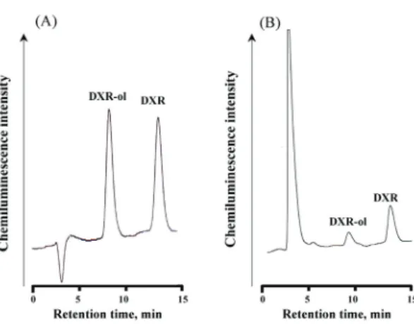 Fig. 2. A chromatogram of plasma extract  from a healthy subject spiked with an  internal standard.