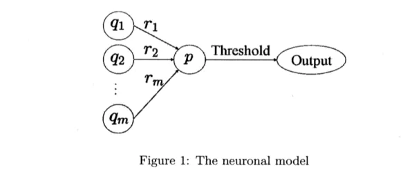 Figure 1: The neuronal model