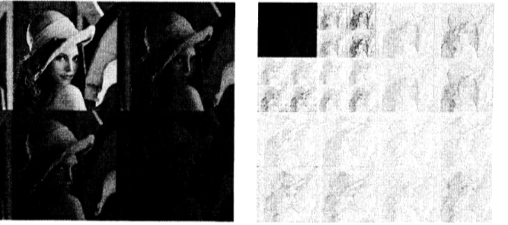 Fig 3: 前処理後の画像とマルチウェーブレット変換された画像 (two levels). 右画 像の左上の 4 個が低周波成分 .