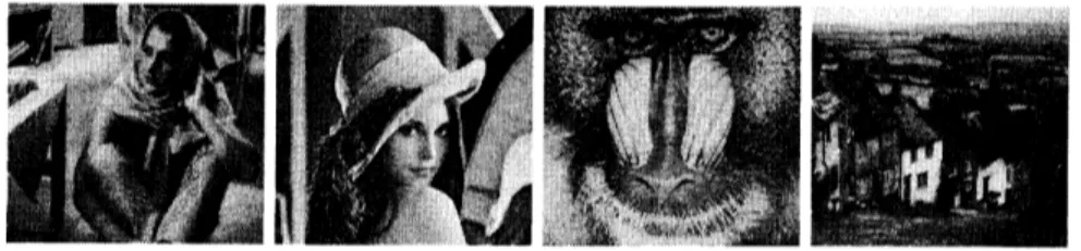 Fig 4: Barbara, Lena, Mandrill と Gol(1 images.
