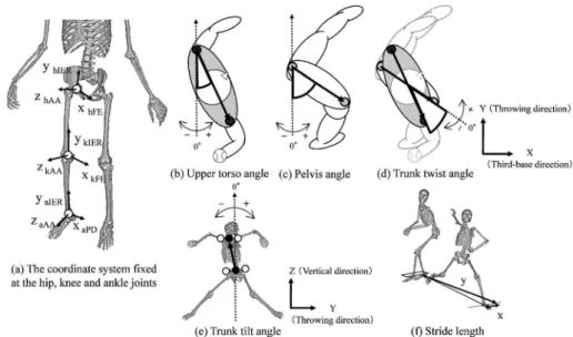 Figure 4 Deˆnition of the coordinate system ˆxed at the hip, knee and ankle joints (a), upper torso (b), the pelvis (c), trunk twist (d), trunk tilt (e) and stride length (f).