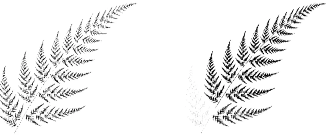 Figure 2: Bernsley’s fern (left) and its contractive functions in color (right)