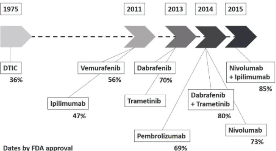 Figure 2 progression of 1 year survival rate in each drug therapy of malignant melanoma