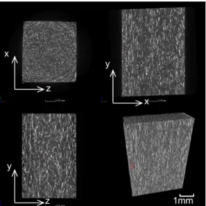 Fig. 2  Image of Micro X-Ray CT Glass Fiber PP(wt%) MAH-PP(wt%) Content (wt%) Surface Treatment 7 A 93 0 88 5 83 10 B 93 0 88 5 83 10   5410 15  Machine Directionx y z 1mmx z x y z y 