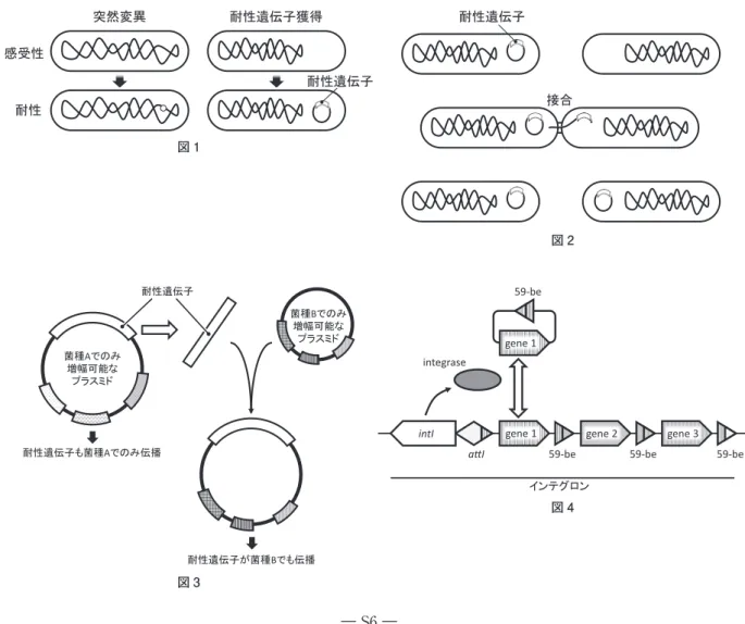 図 8　CRE と CPE の相異