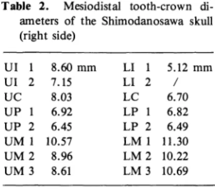 Table  2.  Mesiodistal  tooth-crown  di-    ameters  of  the  Shimodanosawa  skull 