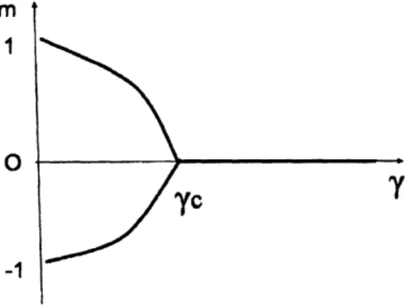 Figure 2: Order parameter and parameter $\gamma$ (Ising model).