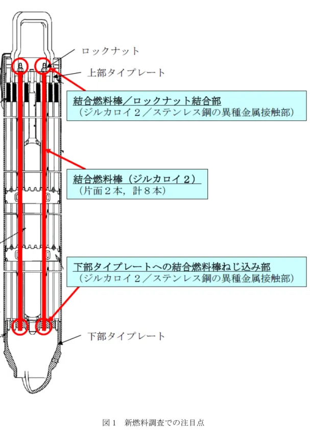 図 1  新燃料調査での注目点 